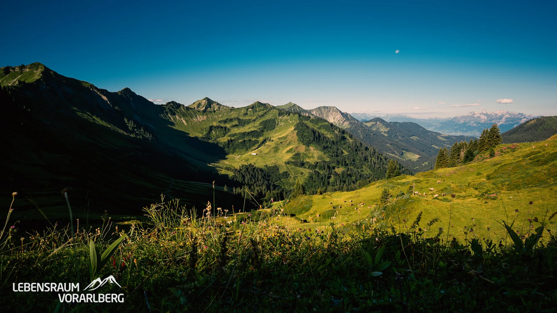 Frödischtal