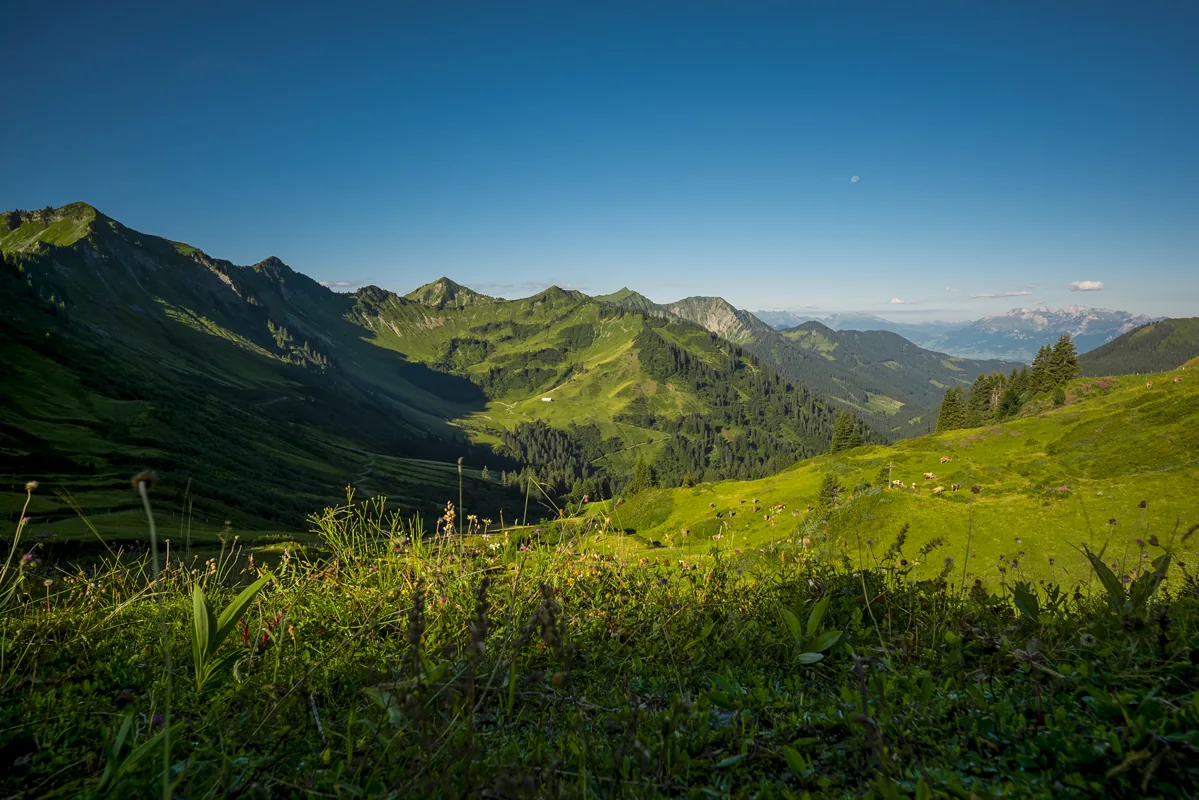 Bergpanorama in Vorarlberg
